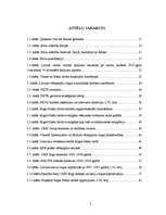 Diplomdarbs 'Rīgas Fondu biržas darbības analīze', 5.