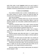 Diplomdarbs 'Rīgas Fondu biržas darbības analīze', 16.