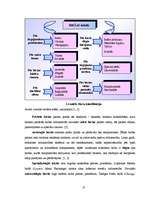 Diplomdarbs 'Rīgas Fondu biržas darbības analīze', 17.