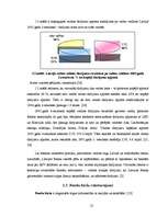 Diplomdarbs 'Rīgas Fondu biržas darbības analīze', 21.