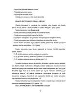 Diplomdarbs 'Rīgas Fondu biržas darbības analīze', 34.