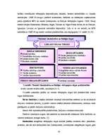 Diplomdarbs 'Rīgas Fondu biržas darbības analīze', 43.