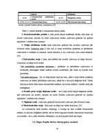 Diplomdarbs 'Rīgas Fondu biržas darbības analīze', 47.