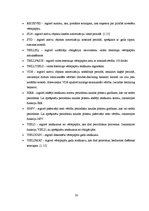 Paraugs 'Finanšu uzdevumi ar finanšu funkcijām', 28.