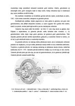 Prakses atskaite 'Auto galvenais pārvads, tehniskā apkope', 7.