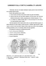 Prakses atskaite 'Auto galvenais pārvads, tehniskā apkope', 8.