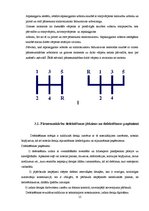 Prakses atskaite 'Auto galvenais pārvads, tehniskā apkope', 15.