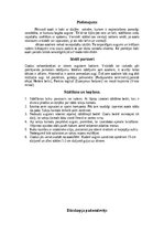 Referāts 'Ozoli - koku karaļi', 10.