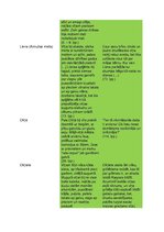 Konspekts 'Mērnieku laiki - tēlu kartotēka', 2.