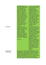 Konspekts 'Mērnieku laiki - tēlu kartotēka', 6.