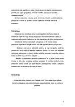 Biznesa plāns 'Kafejnīca "Pelmeņi"', 6.