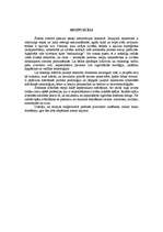 Referāts 'Pieaugušo izglītība', 4.