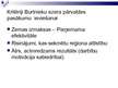 Prezentācija 'Burtnieka ezera baseina apsaimniekošanas princips un apsaimniekošanas plāna stra', 18.