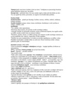 Konspekts 'Sociālās institūcijas', 10.