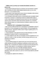 Referāts 'Policijas iecirkņa inspektors', 17.