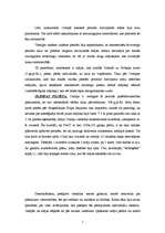 Referāts 'Antīkās Grieķijas dzīvojamās mājas attīstība', 5.