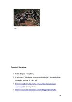 Referāts 'Megalītiskās būves Eiropā', 26.