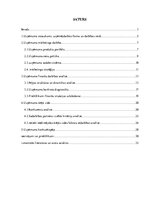 Prakses atskaite 'Prakses atskaite', 2.