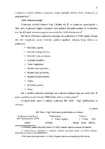 Prakses atskaite 'Prakses atskaite', 21.