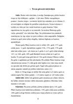 Referāts 'Svētā Pētera baznīcas tornis', 19.