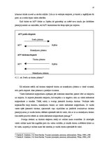 Referāts 'Tūrisms un iekšzemes kopprodukts. Tūrisma maksājumu bilance. Tendences Latvijā u', 19.