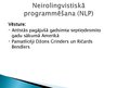 Referāts 'Pozitīvās domas kā svarīgākā cilvēka dzīves panākumu atslēga', 44.
