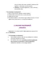 Referāts 'Organiskā ķīmija', 4.