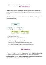 Referāts 'Organiskā ķīmija', 6.