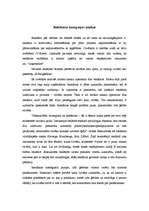 Referāts 'Reklāmas kampaņas analīze', 1.