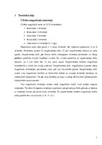 Referāts 'Muguras sāpju profilakse jauniešu vecumā', 7.