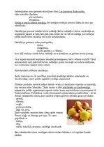 Referāts 'Antioksidanti un pārtika', 4.