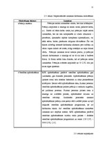 Referāts 'SIA "Latvijas tirgotāju kooperācija "AIBE"" motivācijas sistēmas efektivitātes n', 31.