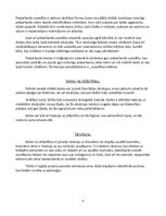 Konspekts 'Džons Boulbijs "Drošais pamats"', 4.