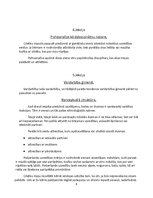 Konspekts 'Džons Boulbijs "Drošais pamats"', 6.