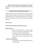 Referāts 'Efektīvas saskarsmes veidošana ar klientu', 7.