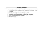 Referāts 'Efektīvas saskarsmes veidošana ar klientu', 20.