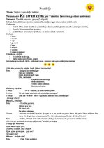 Paraugs 'Scenārijs māmiņdienai vecākā vecuma grupai', 1.