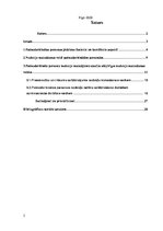 Referāts 'Pašnodarbināto personu nodokļu maksāšanas veidu izvērtējums', 2.