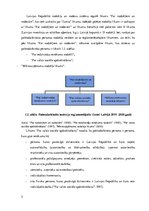 Referāts 'Pašnodarbināto personu nodokļu maksāšanas veidu izvērtējums', 5.