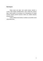 Konspekts 'Šūšana', 12.