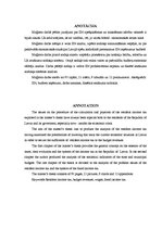 Diplomdarbs 'Iedzīvotāju ienākuma nodokļa analīze budžeta ieņēmumos', 4.