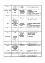 Konspekts 'Medicīnas terminoloģija', 4.
