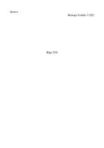 Eseja 'Problēmas analīze', 2.