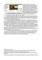 Eseja 'Problēmas analīze', 5.