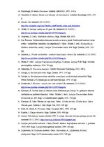 Referāts 'Padomju sievietes konstrukcija žurnālā "Dadzis"(1965.-1970.)', 53.