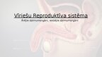 Prezentācija 'Reproduktīvā sistēma', 16.