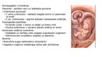 Prezentācija 'Reproduktīvā sistēma', 27.
