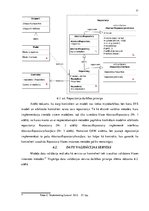 Diplomdarbs 'Uz Laravel ietvara balstītas satura vadības sistēmas izveide', 31.