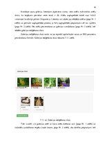 Diplomdarbs 'Uz Laravel ietvara balstītas satura vadības sistēmas izveide', 40.