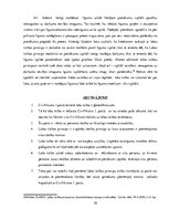 Referāts 'Civillikuma 1.pantā iekļautā labā ticība', 10.